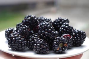 Boysenberry On White Plate Wallpaper