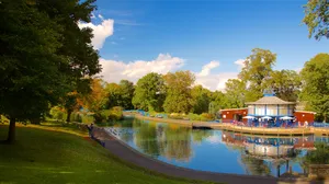 Bradford Park Scenic View Wallpaper