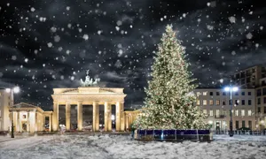 Brandenburg Gate Christmas Tree Wallpaper