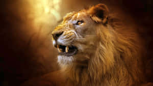 “brave And Powerful, The Roaring Lion” Wallpaper