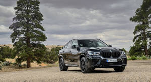 Brawny Bmw X6 M Wallpaper