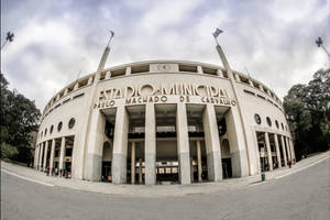 Brazil Pacaembu Stadium Wallpaper