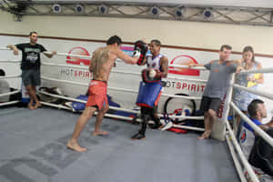 Brazilian Mixed Martial Artist Renan Barão During Training Wallpaper