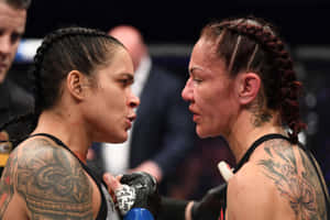 Brazilian Ufc Fighters Amanda Nunes And Cris Cyborg Ufc 232 Wallpaper