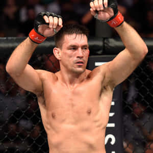 Brazilian Ufc Fighters Demian Maia Wallpaper