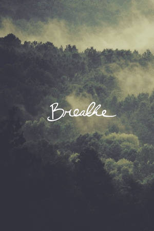 Breathing Text Dark Forest Wallpaper