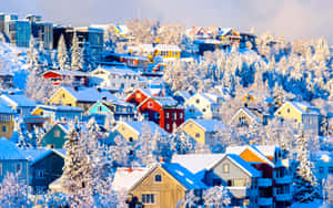 Breathtaking Aurora Borealis Over Tromsø, Norway Wallpaper