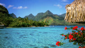 Breathtaking Bora Bora Beach Paradise Wallpaper