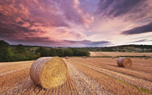 Breathtaking Fall Harvest Landscape Wallpaper