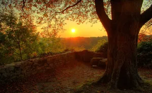 Breathtaking Fall Scenery Wallpaper