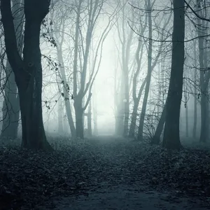 Breathtaking Night Skyline Full Of Vibrant Downtown City Lights Wallpaper