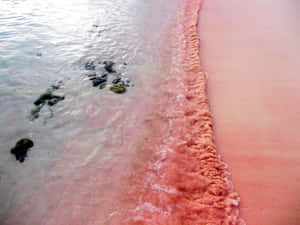 Breathtaking Pink Sand Beach On A Sunny Day Wallpaper