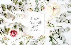 Breathtaking Primeval Rainforest Wallpaper