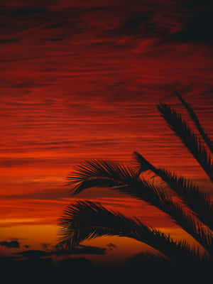 Breathtaking Red Sunset Over The Horizon Wallpaper