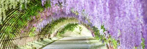 Breathtaking Spring Outdoors Scenery Wallpaper