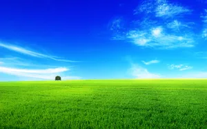 Breathtaking Summer Landscape With Vibrant Colors Wallpaper