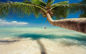 Breathtaking Sunset On A Serene Summer Beach Wallpaper