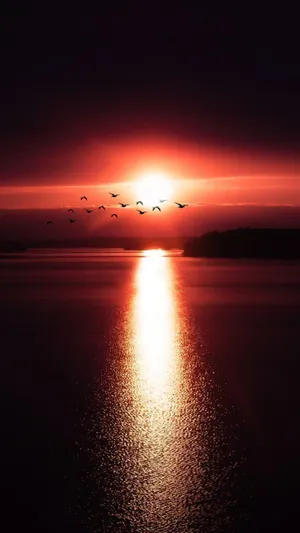 Breathtaking Sunset Reflection On Calm Waters Wallpaper