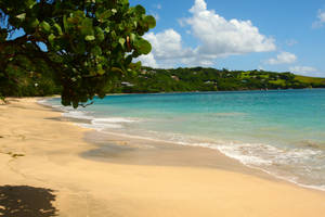 Breathtaking View Of A Tropical Blue Sea Wallpaper