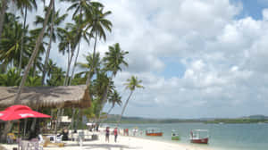 Breathtaking View Of Brazilian Beach Wallpaper