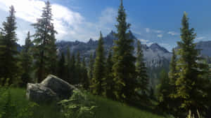 Breathtaking View Of Falkreath In Skyrim Wallpaper