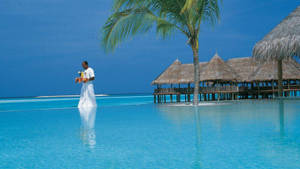 Breathtaking View Of Kuramathi Island Resort, Maldives Wallpaper