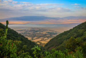 Breathtaking View Of Ngorongoro Crater Lake Magadi In Northern Tanzania Wallpaper