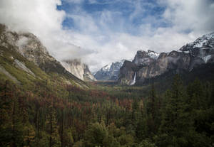 Breathtaking View Of Yosemite Park In Fresno Wallpaper