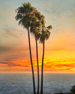 Breathtaking Views Of Southern California Wallpaper