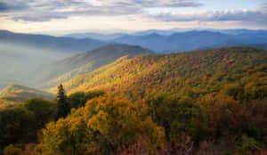 Breathtaking Views Of The Blue Ridge Mountains Wallpaper