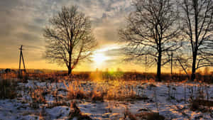 Breathtaking Winter Sun Landscape Wallpaper