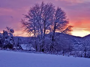 Breathtaking Winter Sun Landscape Wallpaper