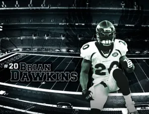 Brian Dawkins Football Legend Wallpaper