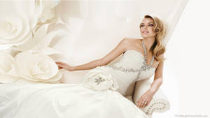 Bride In White-themed Wedding Wallpaper