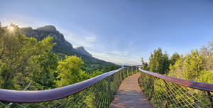 Bridge Garden In Cape Town Wallpaper