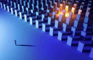 Brief Height Wallpaper