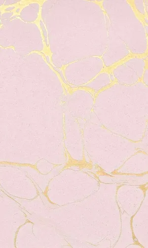 Bright And Beautiful Light Pink And Gold Colors Bring A Touch Of Luxury To Any Space Wallpaper