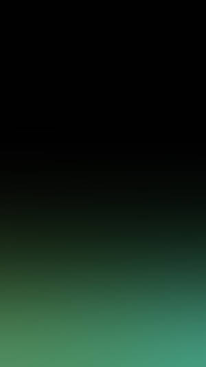 Bright And Beautiful Midnight Green Wallpaper