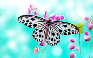 Bright And Colorful Butterfly Enjoying A Sunflower Wallpaper