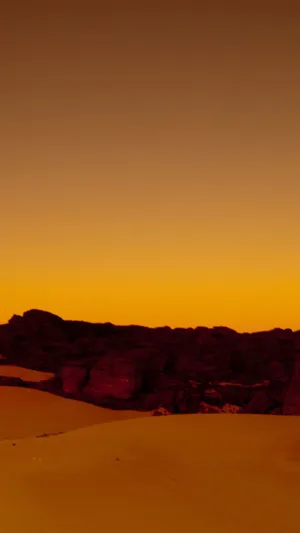 Bright And Crisp Display Updates The Look Of Your Device Wallpaper