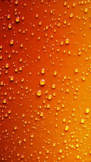 _ Bright & Bold Orange Iphone To Stand Out From The Crowd._ Wallpaper