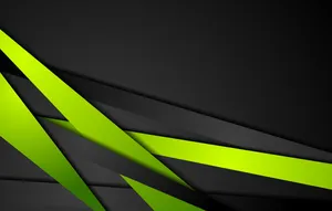 Bright Colors Create A Bold Contrast Wallpaper