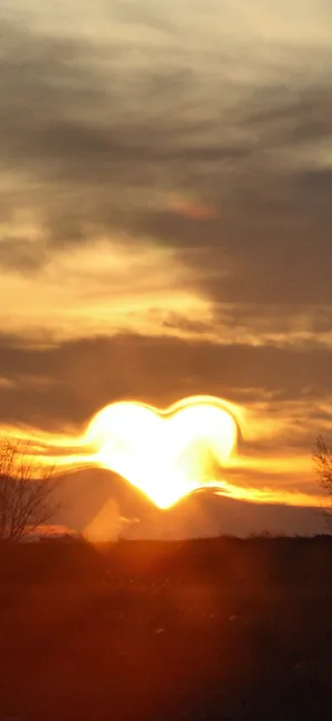 Bright Green Forest With Vivid Blue Sky Wallpaper