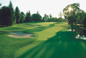 Bright Green Golf Course Wallpaper