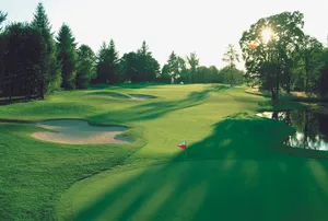 Bright Green Golf Course Wallpaper