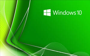 Bright Green Windows 10 Theme Wallpaper