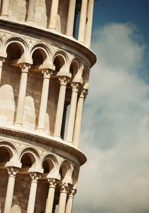 Bright Morning In A Field Of Green Wallpaper