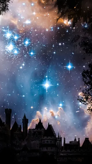 Bright Summer Flowers Wallpaper