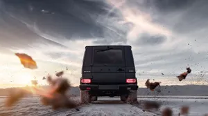 Bright Sunny Summer's Day In A Park Wallpaper