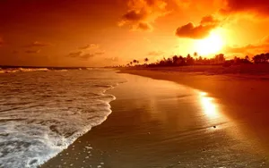 Bright Sunset On Beachside Wallpaper